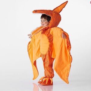 Pottery Barn Light-Up Pterodactyl Halloween Costume